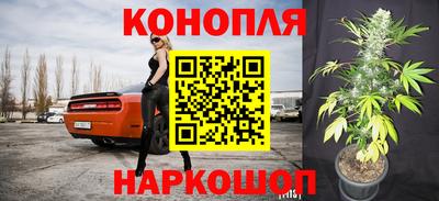 крисы Нарткала
